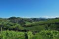 01 Salse di Nirano